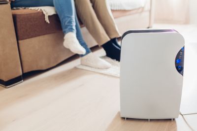 Humidifier Filter Replacement in Naples, FL