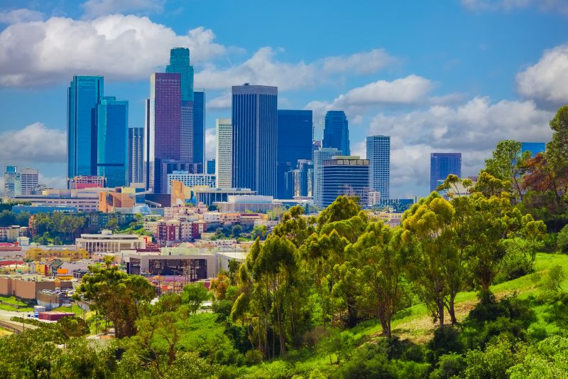 Dryer Vent Cleaning: Los Angeles